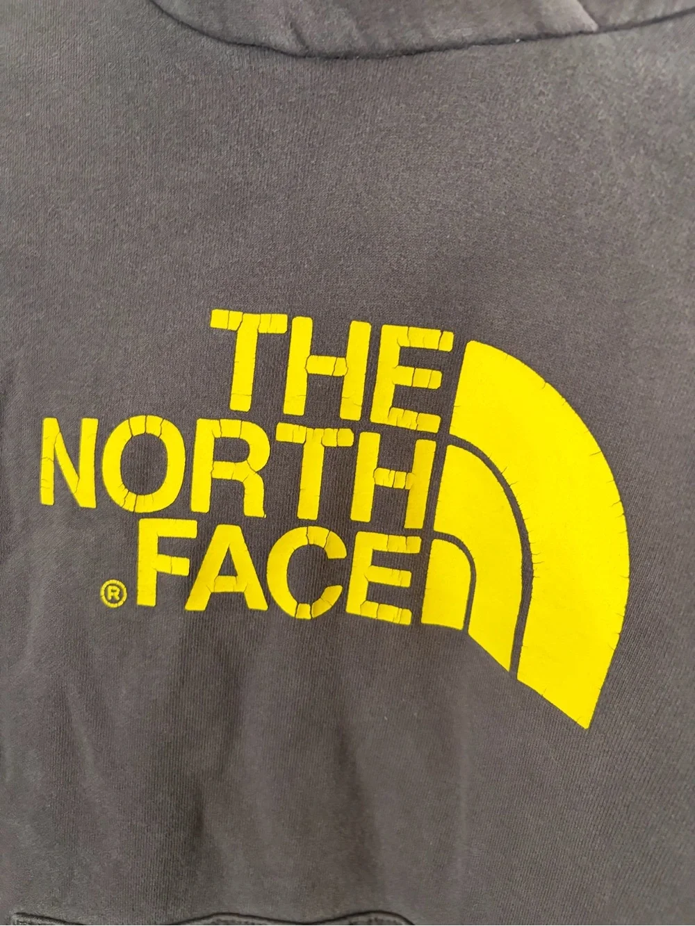 The North Face north face
